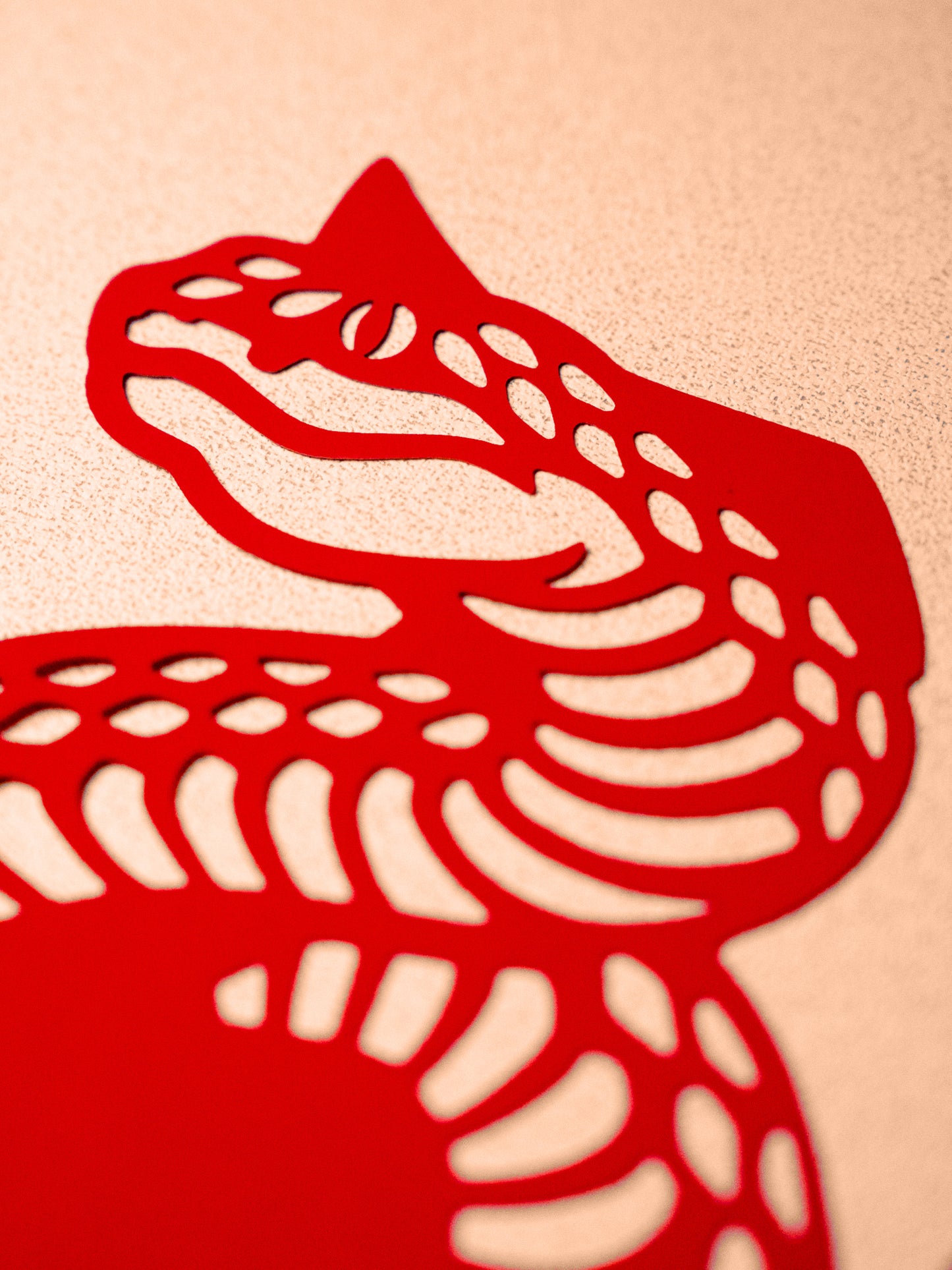 Year of the Snake