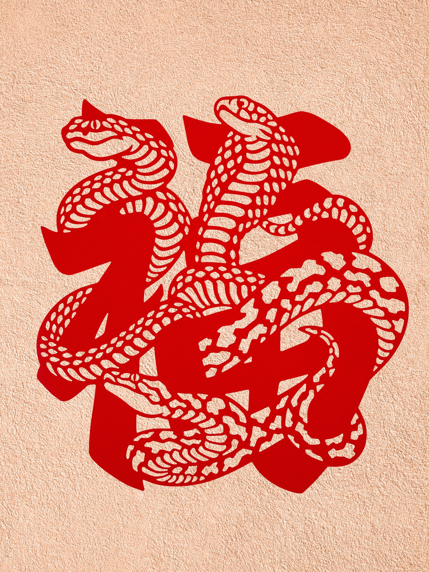 Year of the Snake