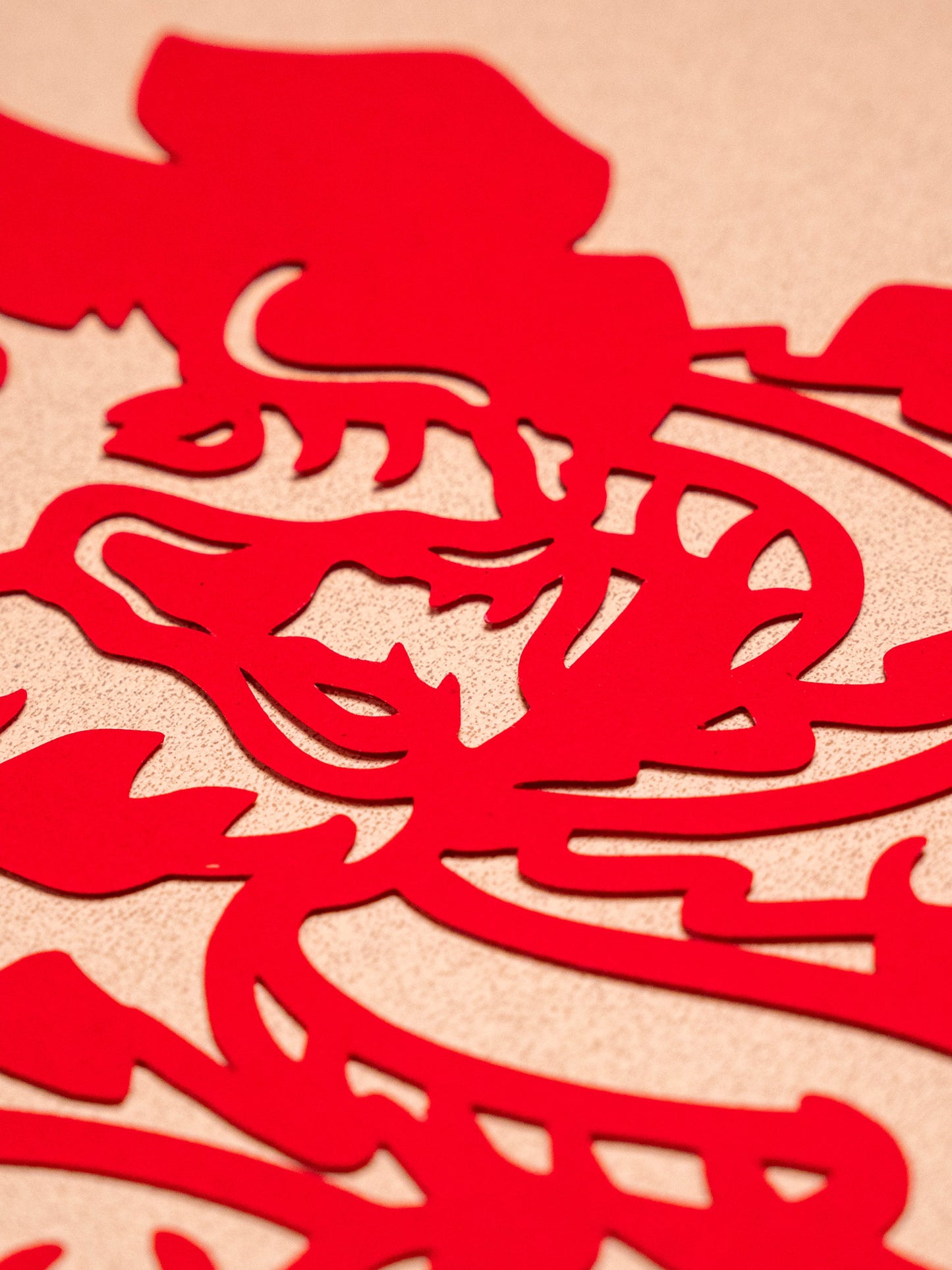 Hidden Dragon 臥龍