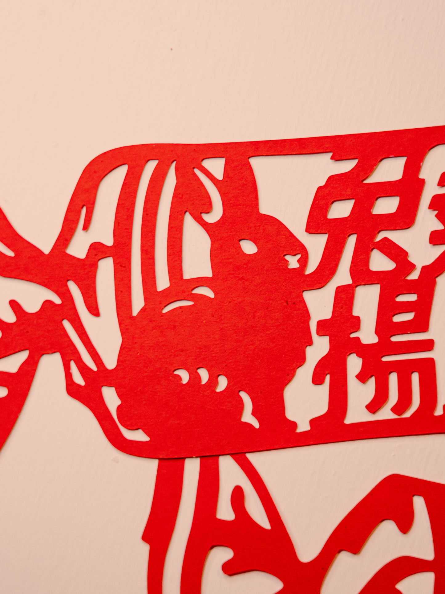 03 Red Rabbits 紅兔糖
