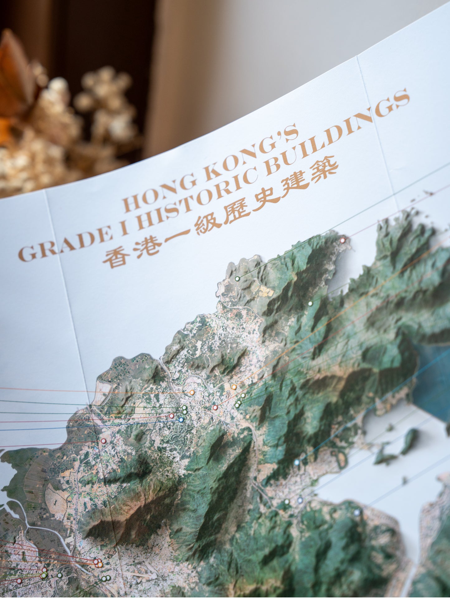 Hong Kong Heritage Maps [Folded Map]